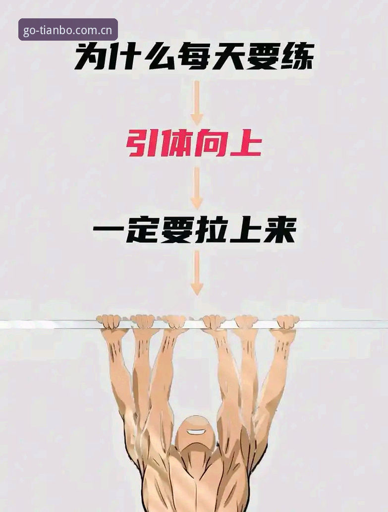 天博TIANBO官网 天博体育综合入门操作教程:新手如何快速上手使用